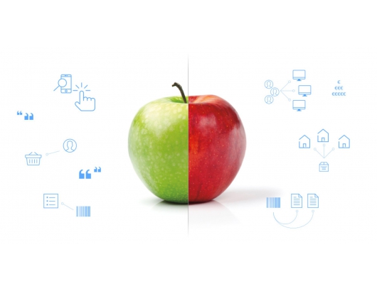 B2B e-commerce competes with traditional wholesale markets