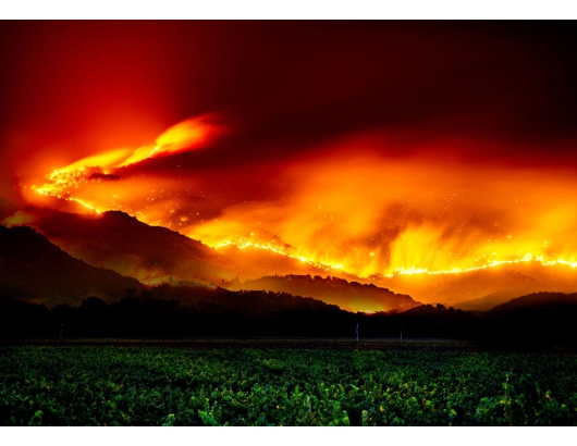 加州：CFFA說，沒有任何新鮮的農產品受到火災直接的影響