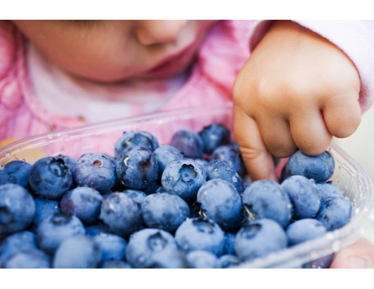 研究表示：藍莓可以提高小孩的注意力。