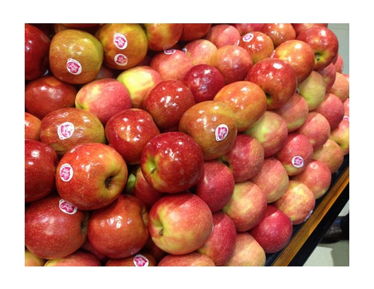 智利：2018/19銷售年度新鮮蘋果出口量達到739,000噸